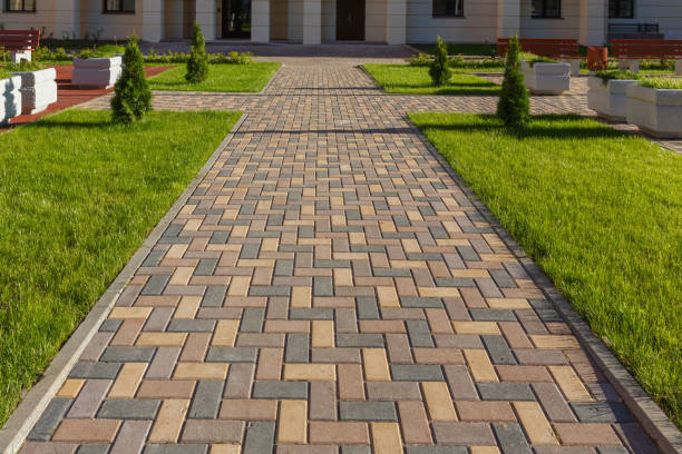 Best Driveway Paving Contractor  in Lake Shore, MN